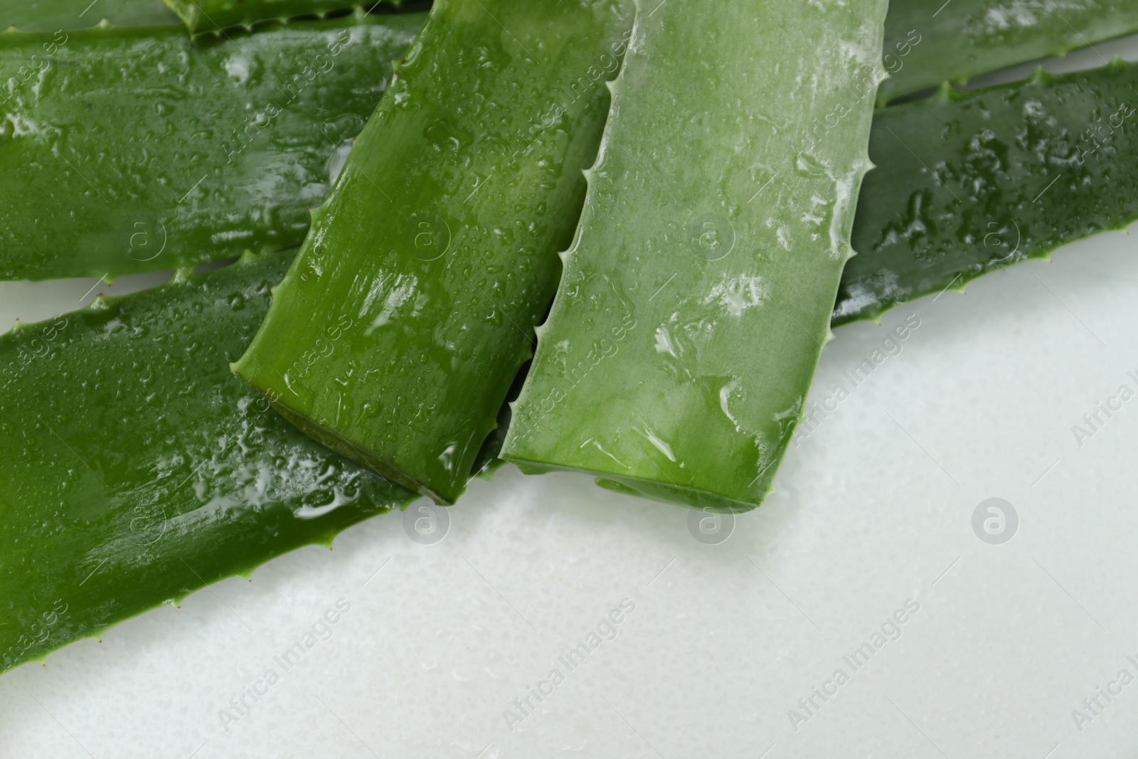 Photo of Fresh cut wet aloe vera leaves on white table, above view