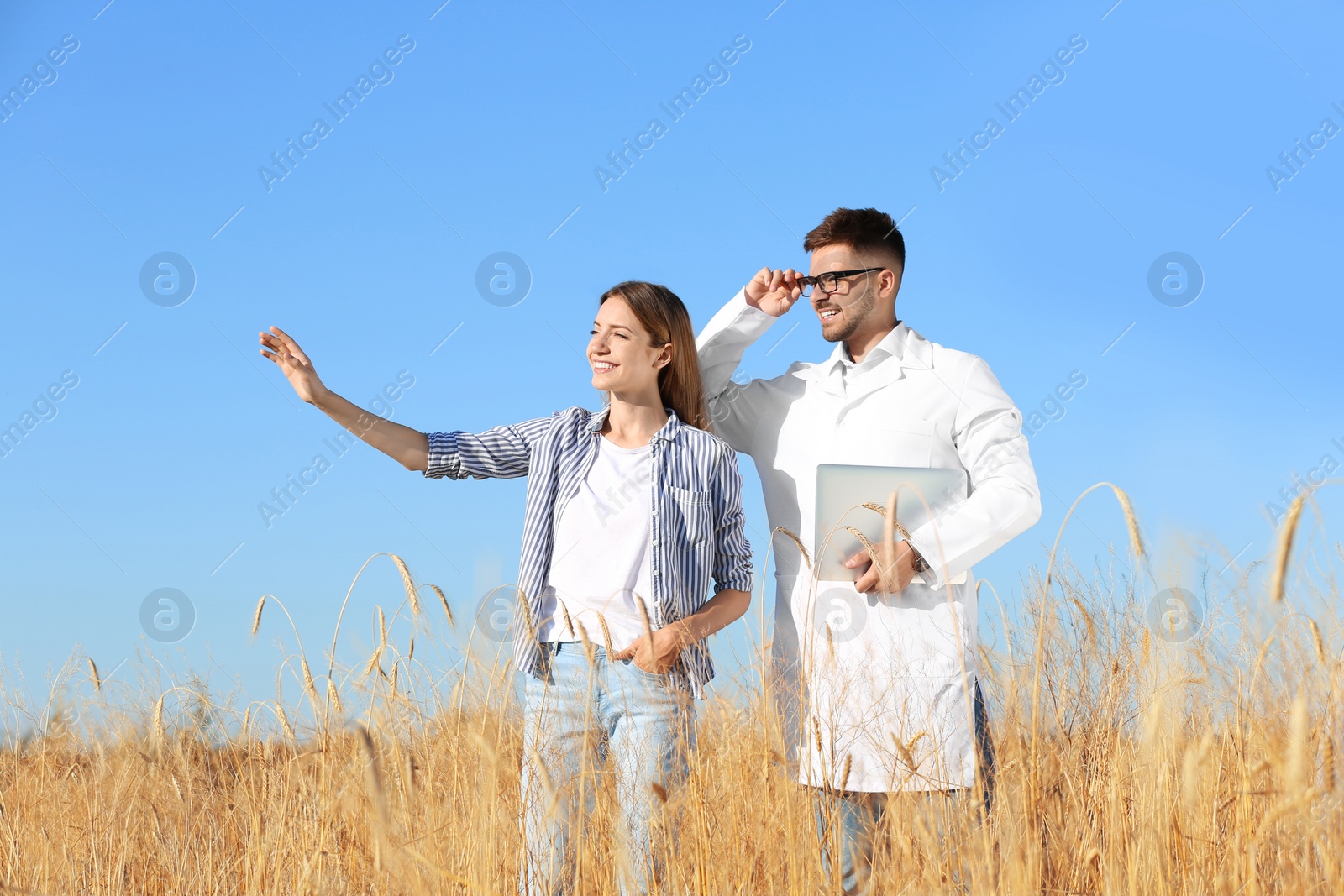 Photo of Agronomist with farmer in wheat field. Cereal grain crop