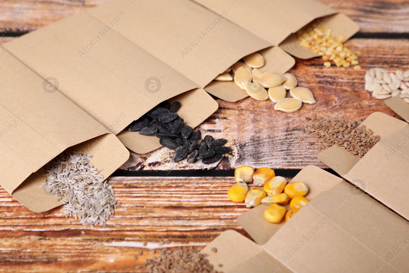 Photo of Many different vegetable seeds on wooden table