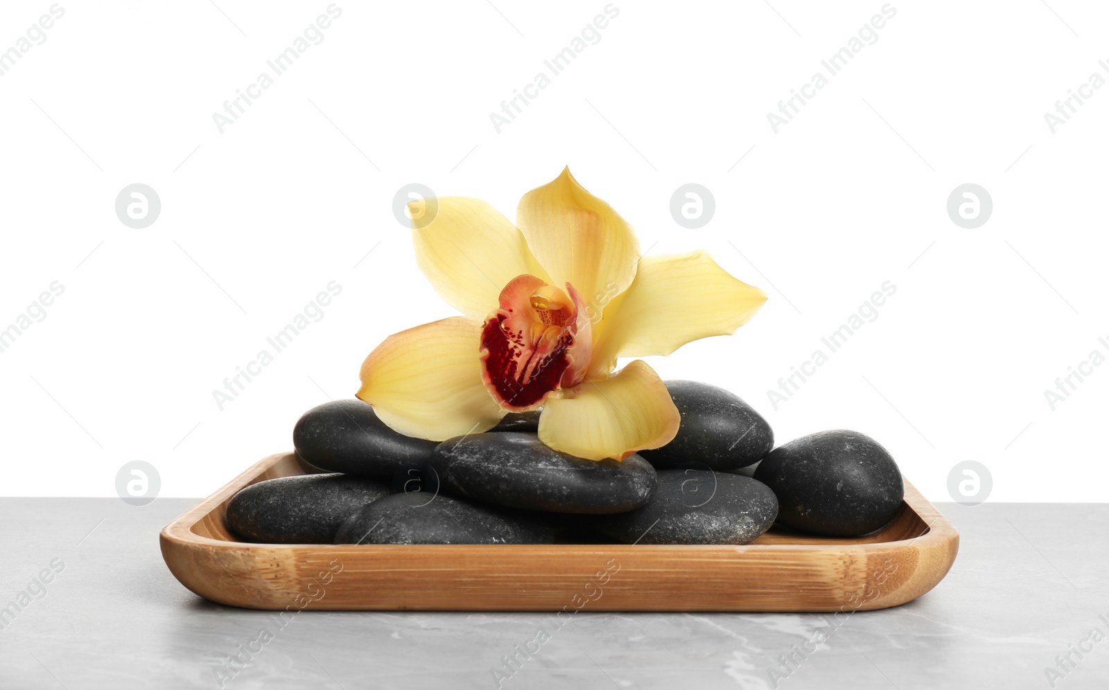 Photo of Wooden plate with orchid flower and spa stones on table against white background