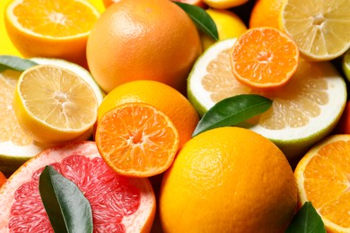 Photo of Different ripe citrus fruits with green leaves as background, closeup