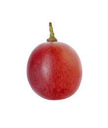 Photo of One ripe red grape isolated on white