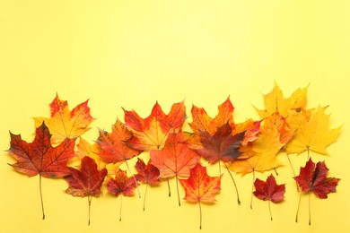 Autumn season. Colorful maple leaves on yellow background, flat lay with space for text