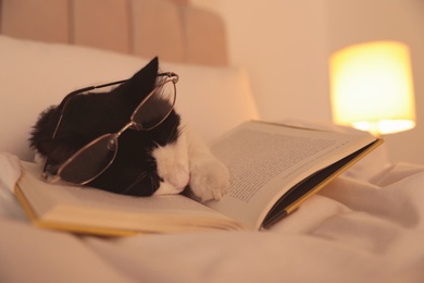 Photo of Cute cat with glasses and book sleeping on bed at home, closeup