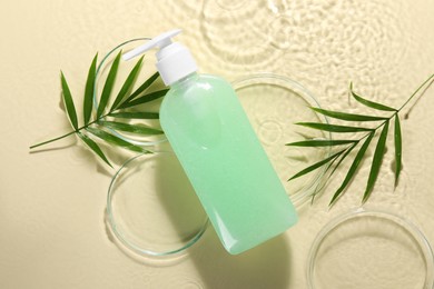 Bottle of face cleansing product, fresh leaves and petri dishes in water against beige background, flat lay