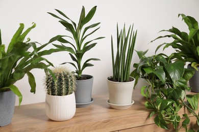 Photo of Green houseplants in pots on wooden chest of drawers near white wall