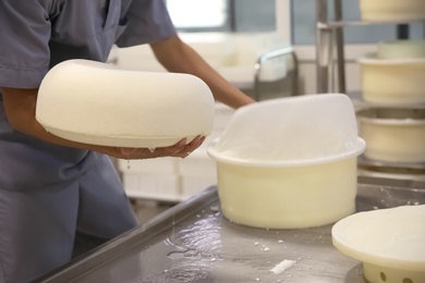 Worker holding fresh cheese at modern factory, closeup