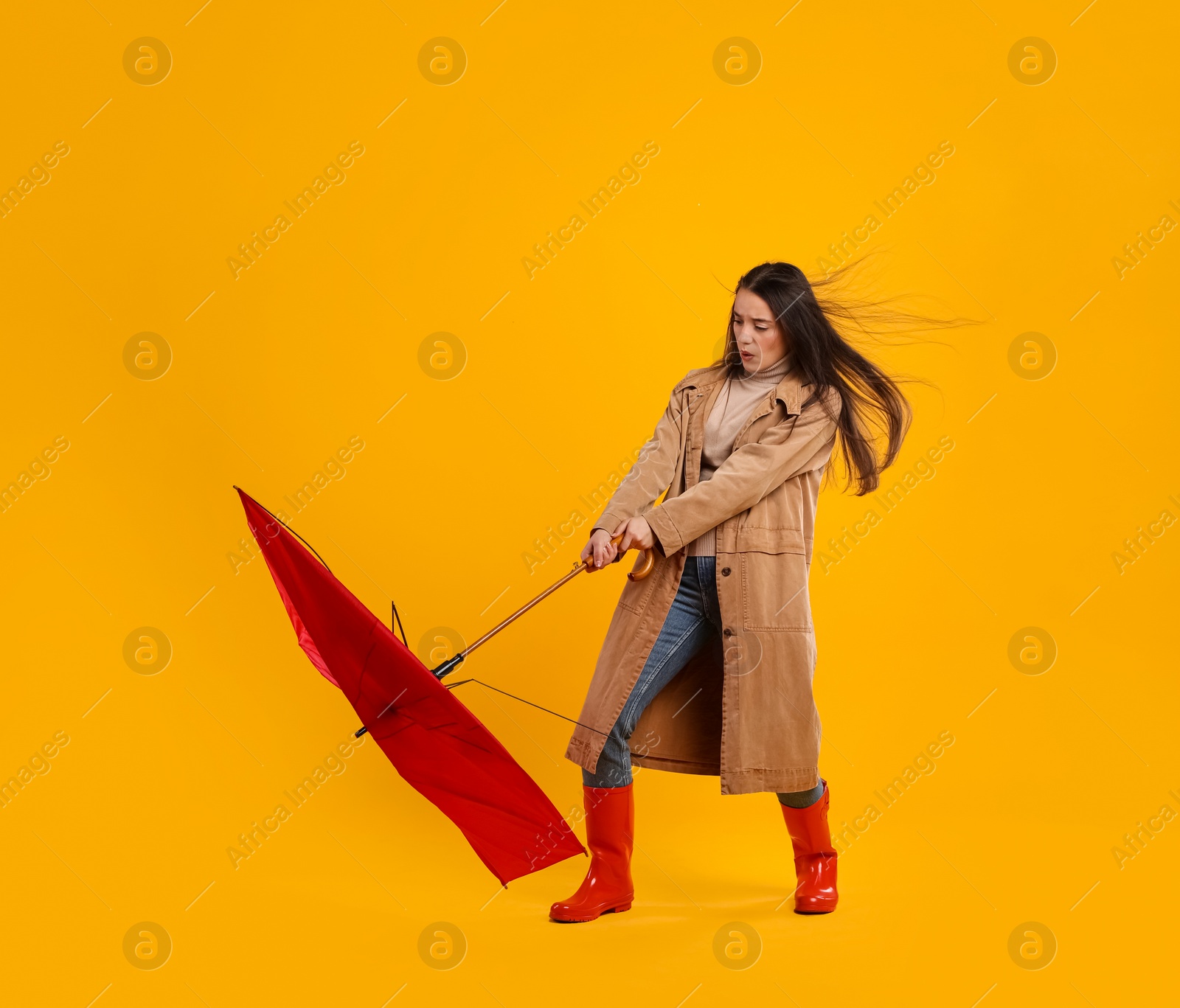 Photo of Emotional woman with umbrella caught in gust of wind on yellow background