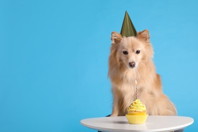 Cute dog wearing party hat at table with delicious birthday cupcake on light blue background. Space for text