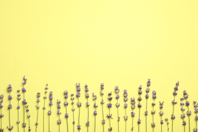 Photo of Beautiful lavender flowers on yellow background, flat lay. Space for text