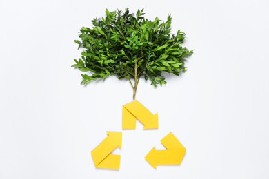 Photo of Recycling symbol and branch of green plant on white background, flat lay