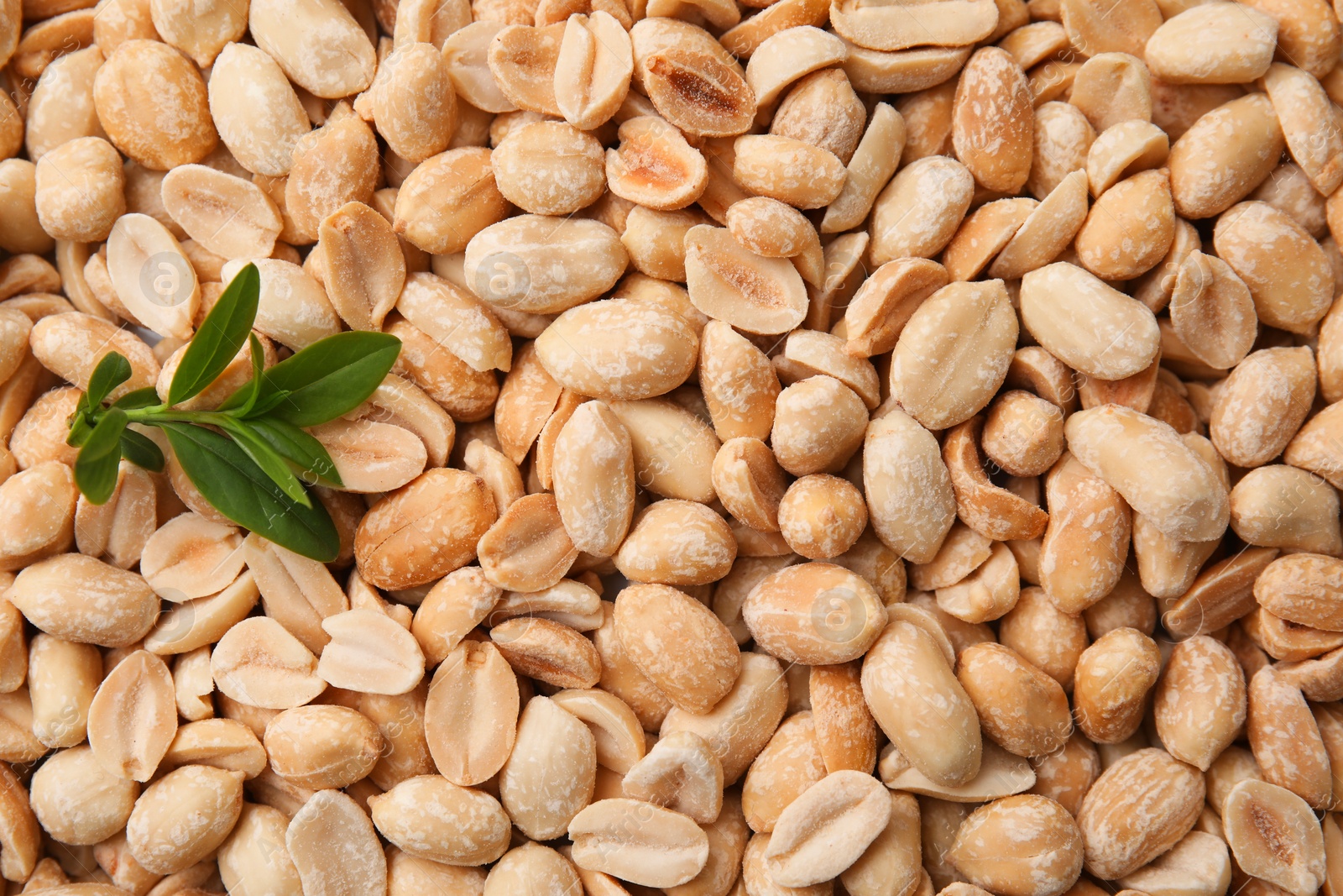 Photo of Many fresh peeled peanuts and leaves as background, top view