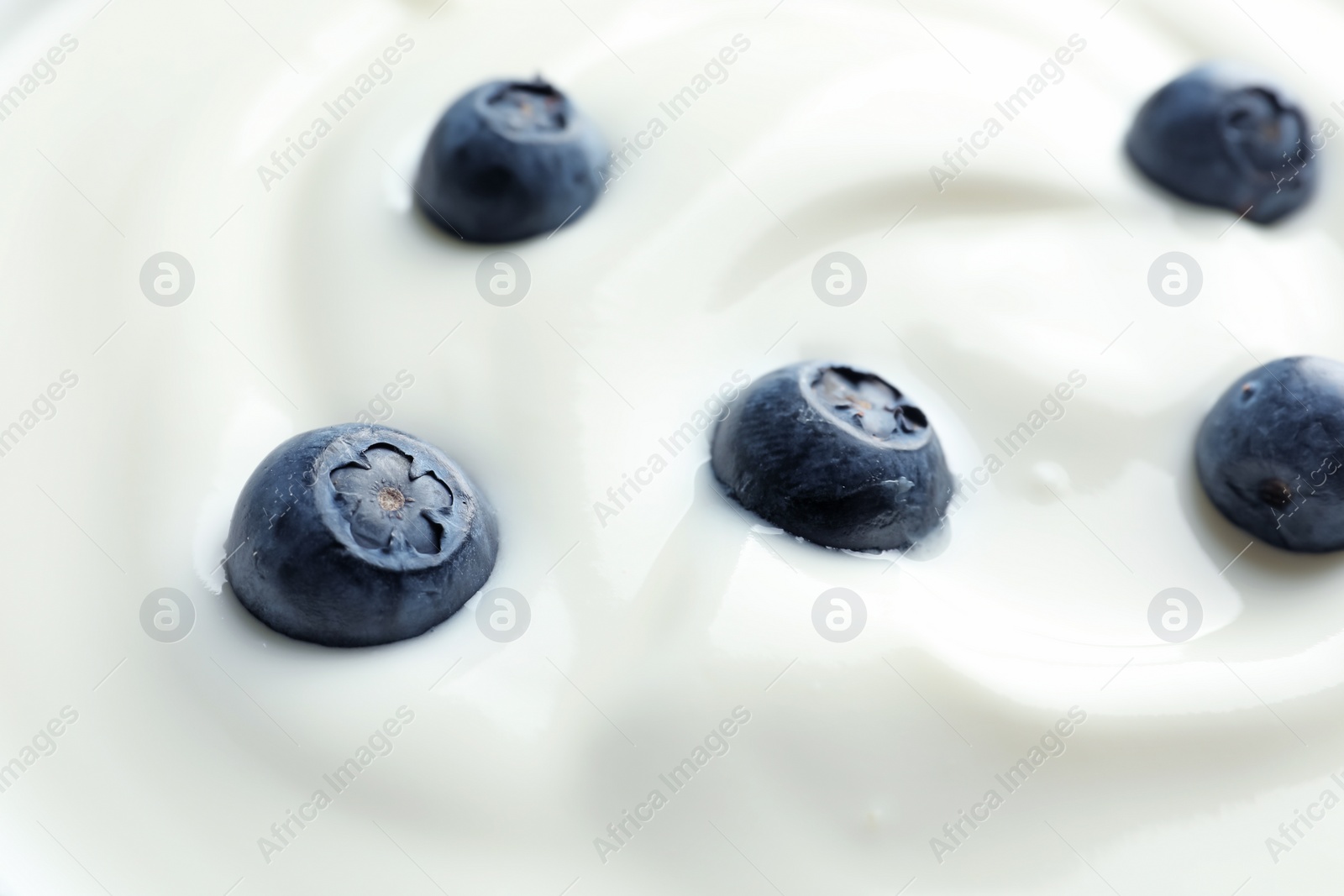 Photo of Tasty fresh yogurt with blueberries, closeup