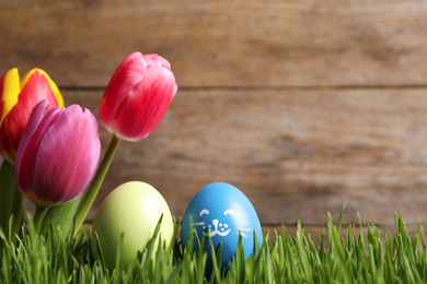 Colorful Easter eggs and tulip flowers in green grass against wooden background, closeup. Space for text