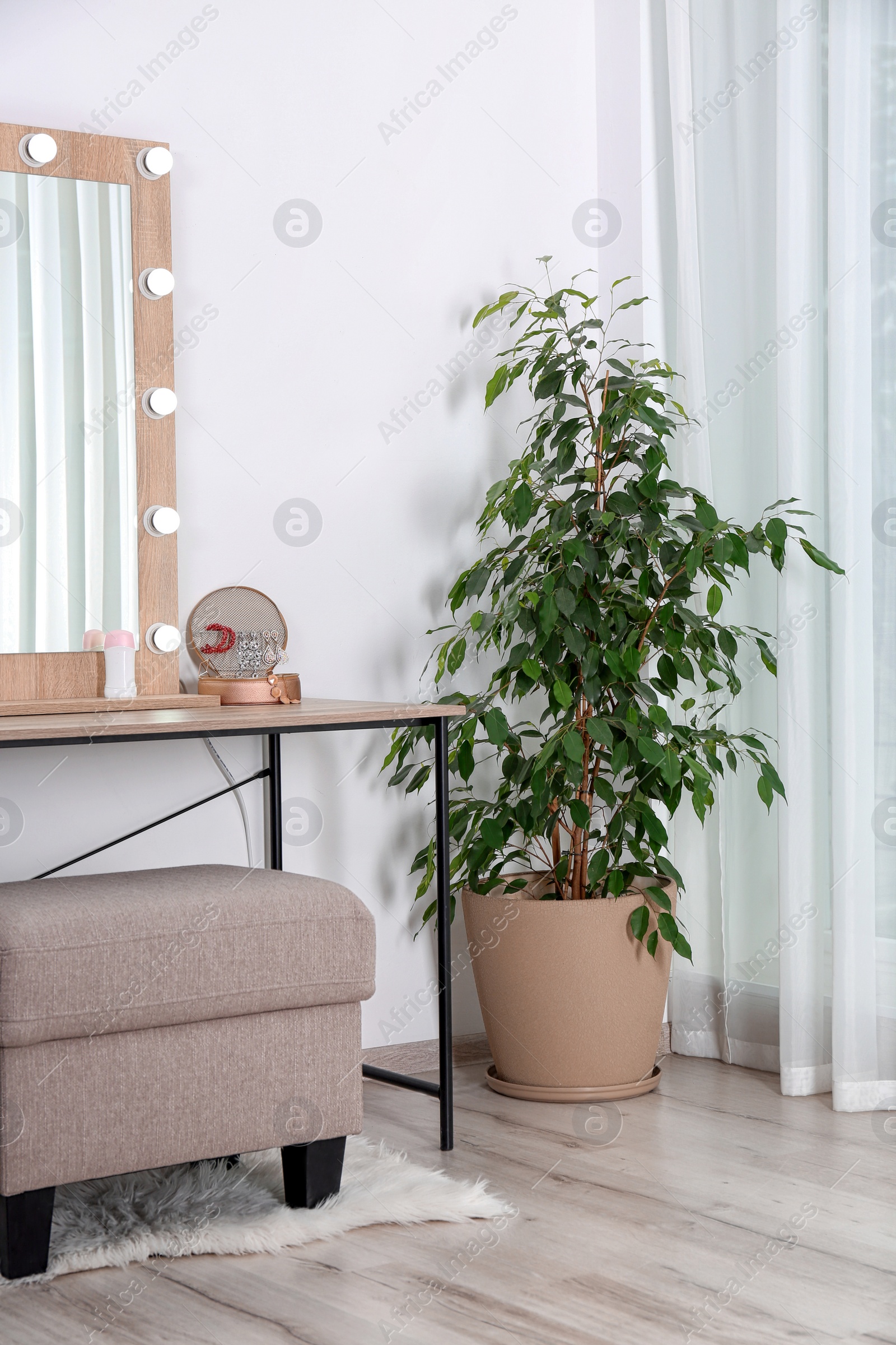 Photo of Stylish room interior with dressing table and potted ficus