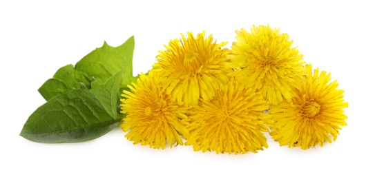 Photo of Beautiful yellow dandelions with leaves on white background