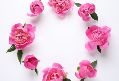 Frame made of fragrant peonies on white background, top view with space for text. Beautiful spring flowers