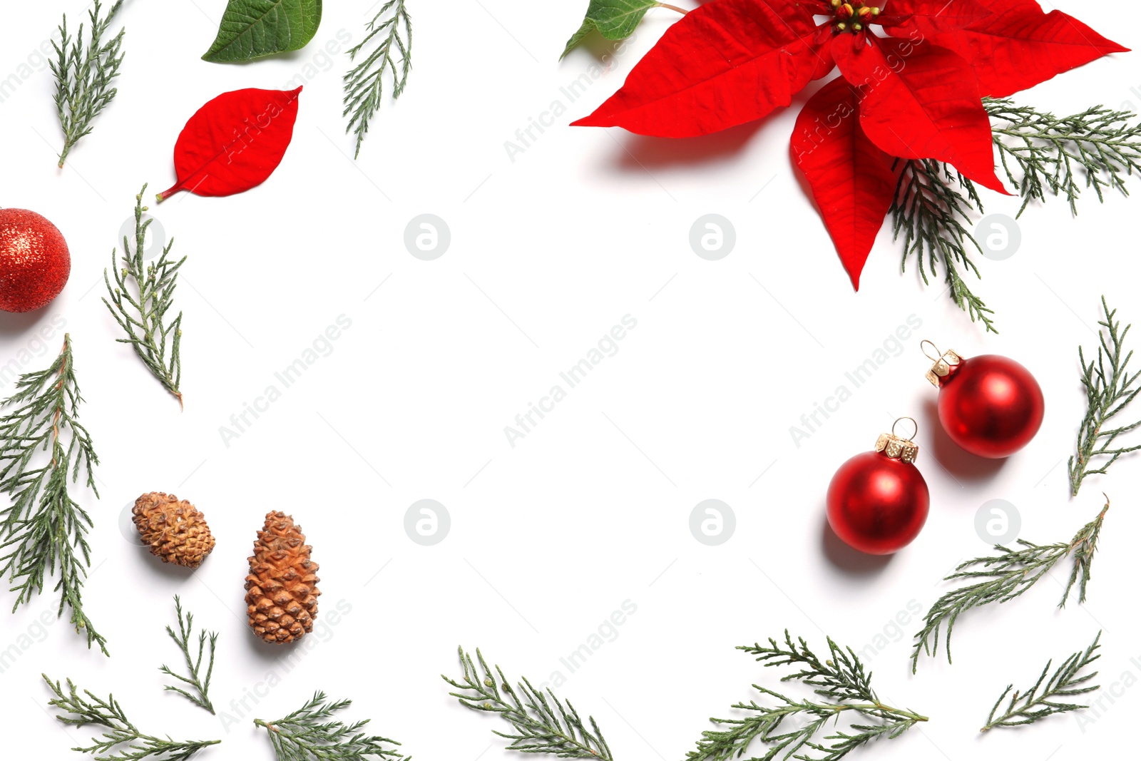 Photo of Flat lay composition with poinsettia and space for text on white background. Traditional Christmas flower