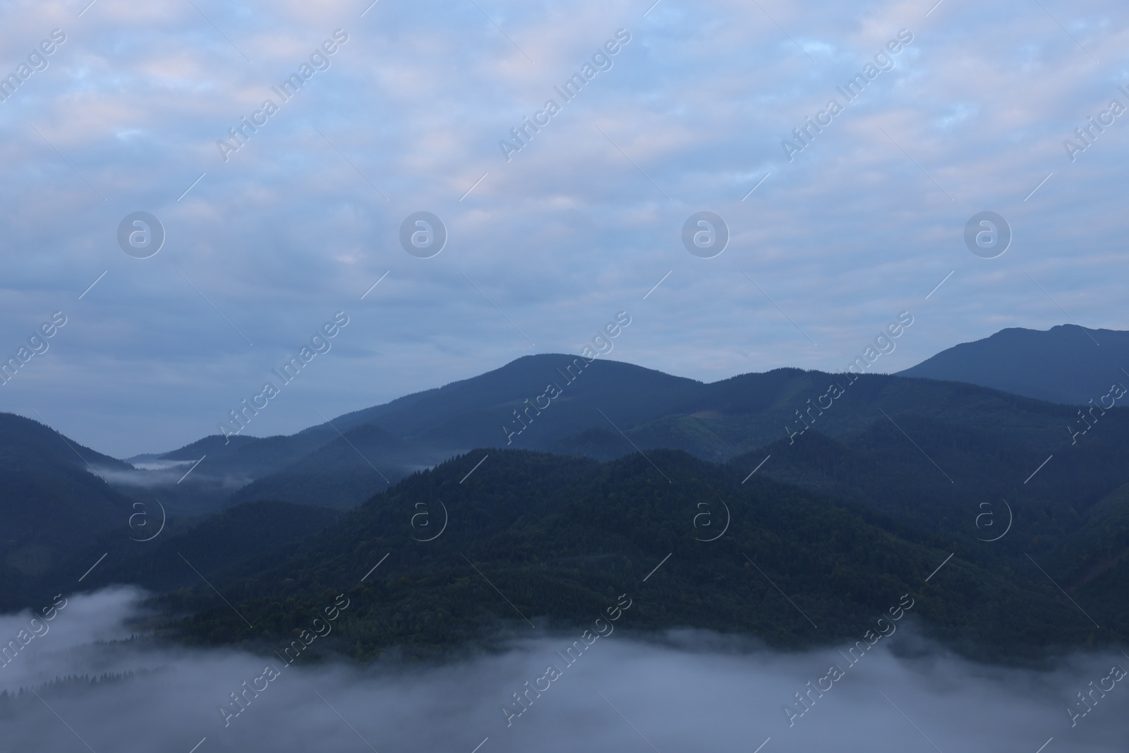 Photo of Picturesque view of mountains covered with fog