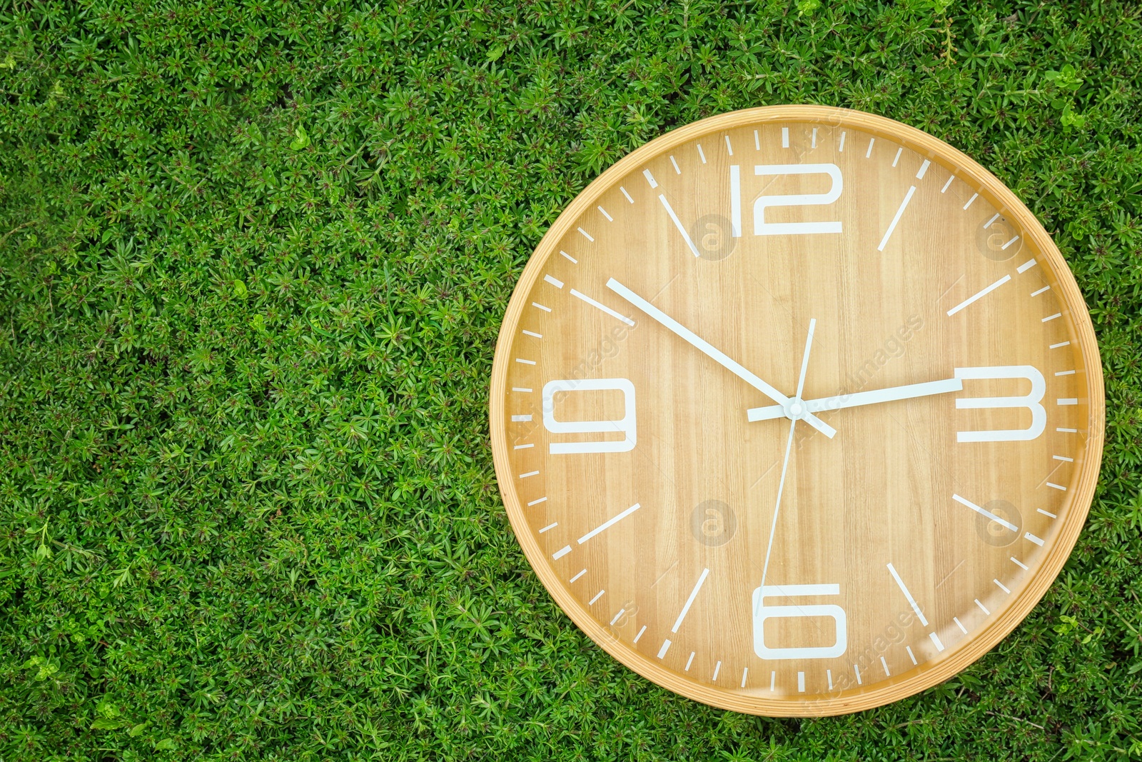 Photo of Big clock on green plants, outdoors. Time change concept