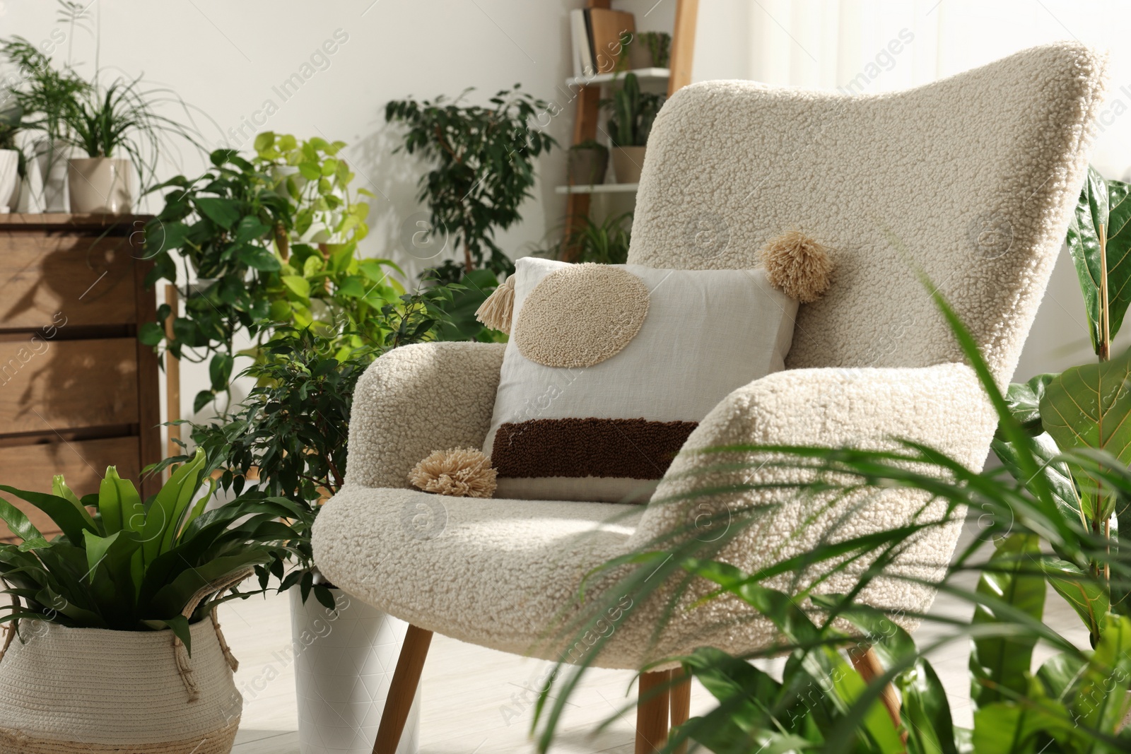 Photo of Relaxing atmosphere. Many different potted houseplants around stylish armchair in room