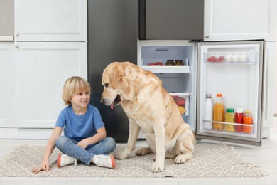 Little boy and cute Labrador Retriever near refrigerator in kitchen