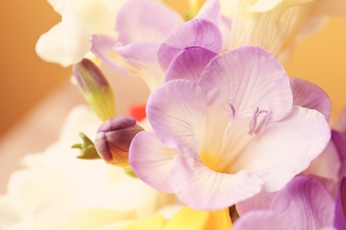 Photo of Beautiful freesia flowers, closeup