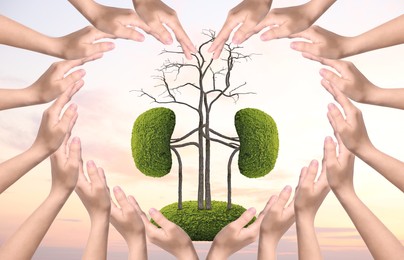 Image of Tree in shape of human kidneys and people forming heart with their hands against sky at sunrise, closeup. Health care concept