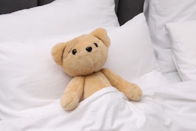 Photo of Toy cute bear with sticking plaster under blanket in bed