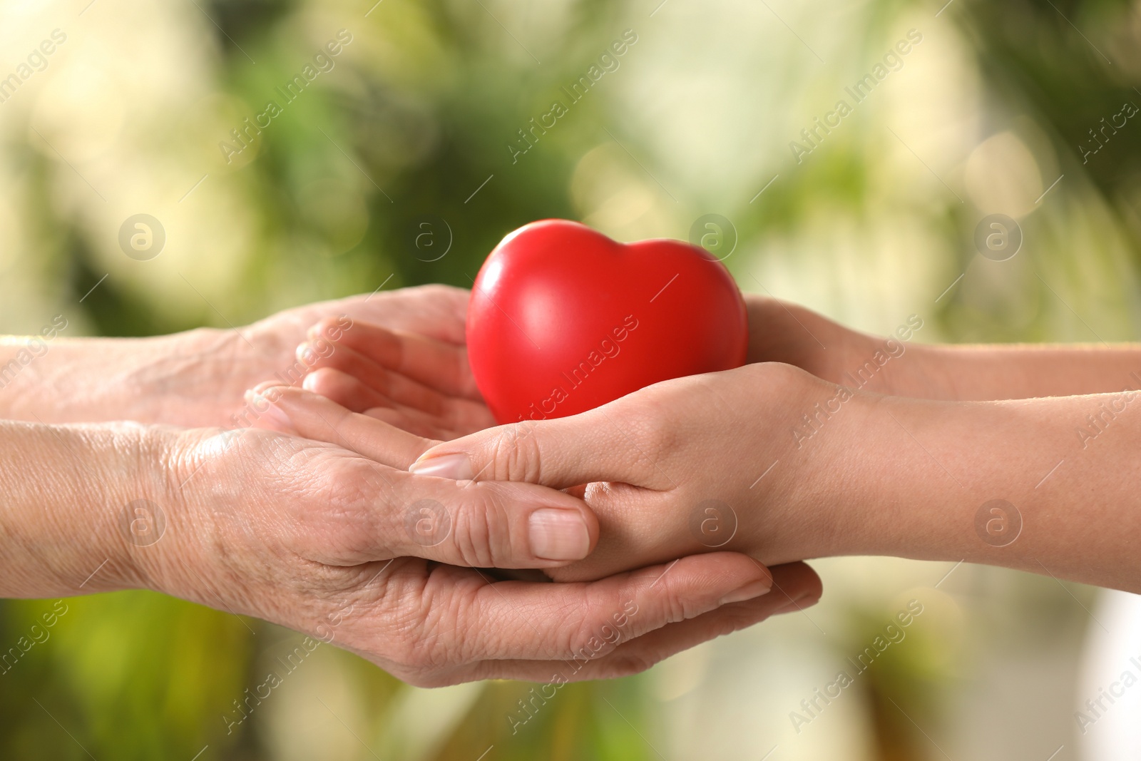 Photo of Young and elderly women holding red heart in hands on blurred green background, closeup