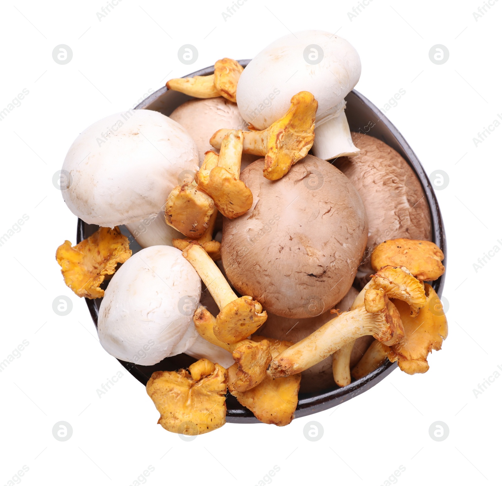 Photo of Bowl of different mushrooms isolated on white, top view