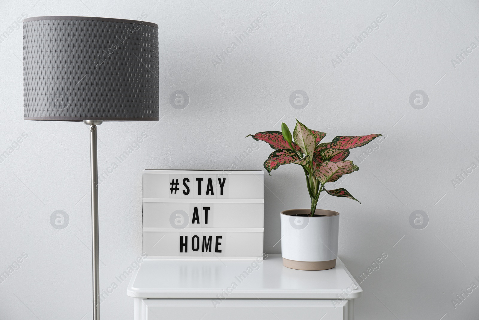 Photo of Houseplant and lightbox with hashtag STAY AT HOME on table indoors. Message to promote self-isolation during COVID‑19 pandemic