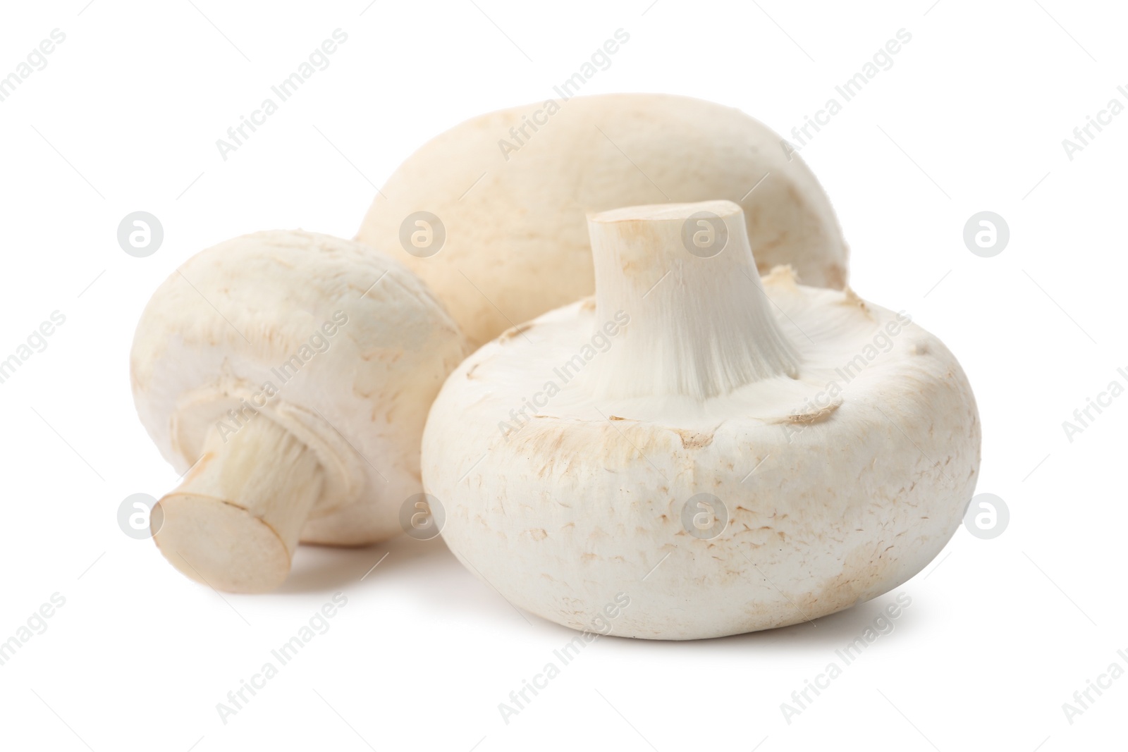 Photo of Fresh raw champignon mushrooms on white background