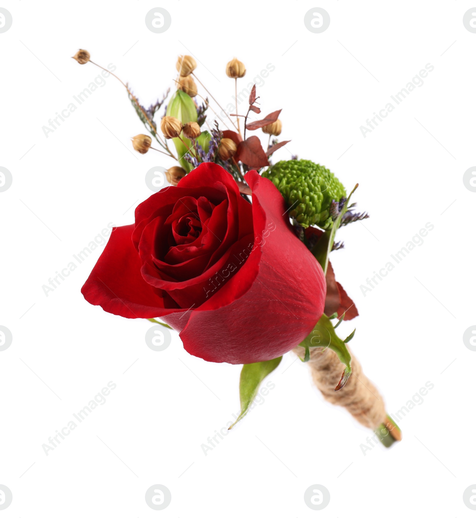 Photo of Stylish boutonniere with red rose isolated on white