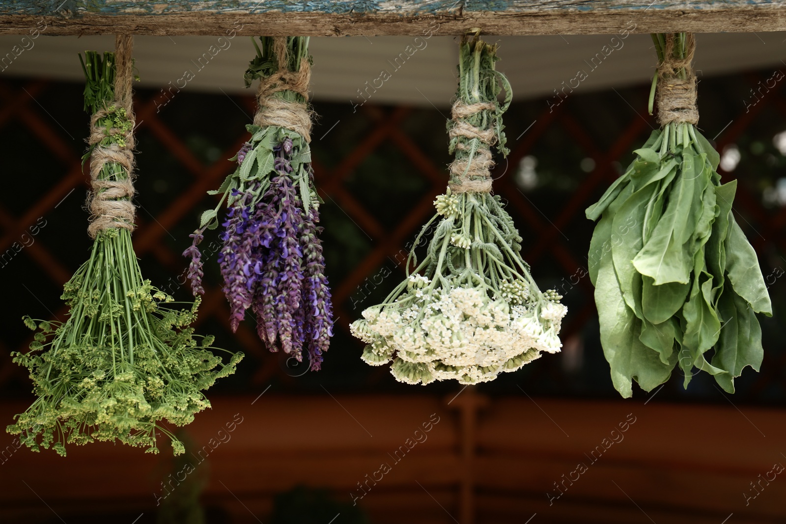 Photo of Bunches of different beautiful dried flowers hanging on wooden stick indoors