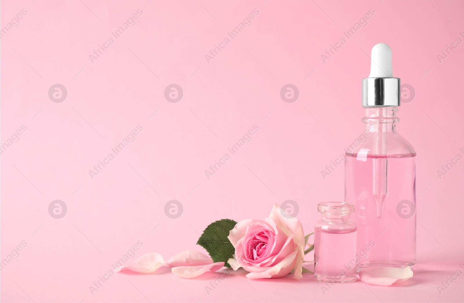 Photo of Bottles of essential oil and rose on pink background. Space for text