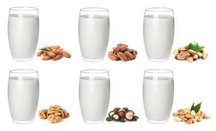 Set with different types of vegan milk and nuts on white background. Banner design