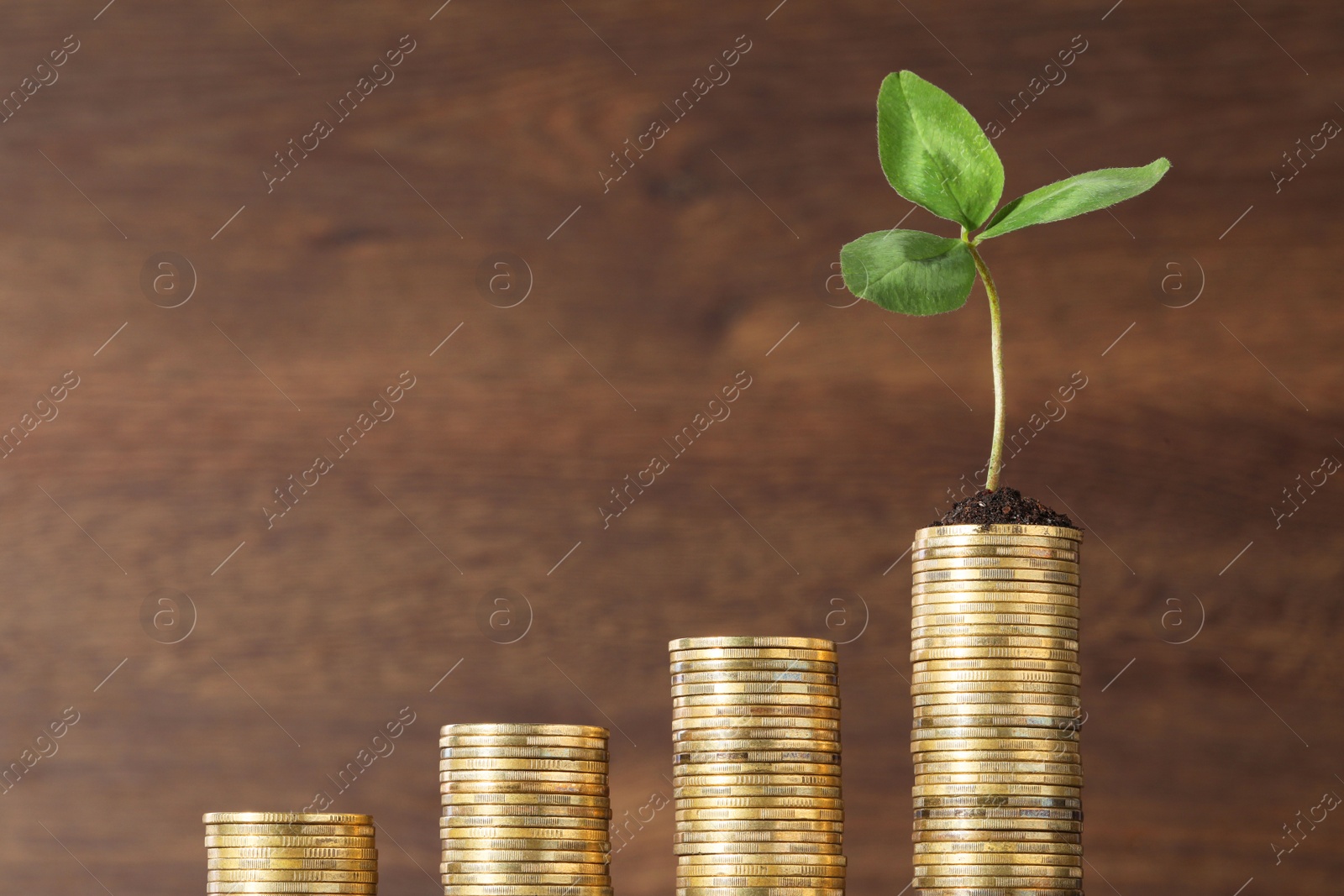 Photo of Stacks of coins with green sprout on blurred background, space for text. Investment concept