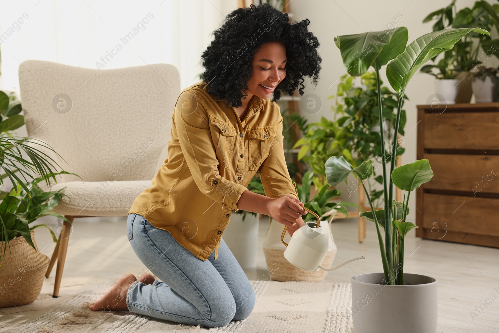 Photo of Woman watering beautiful potted houseplant at home