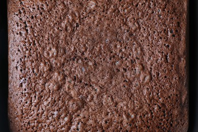 Texture of tasty chocolate sponge cake as background, top view