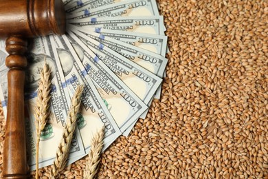 Dollar banknotes, wooden gavel and wheat ears on grains, closeup. Agricultural business