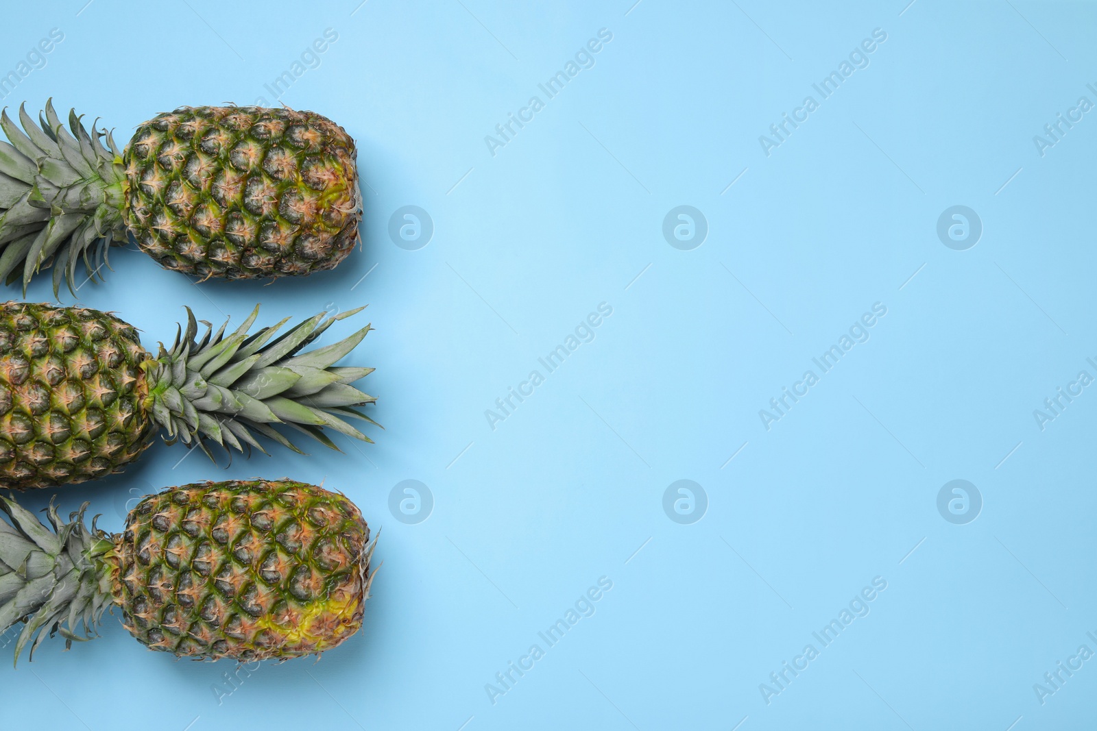 Photo of Whole ripe pineapples on light blue background, flat lay. Space for text