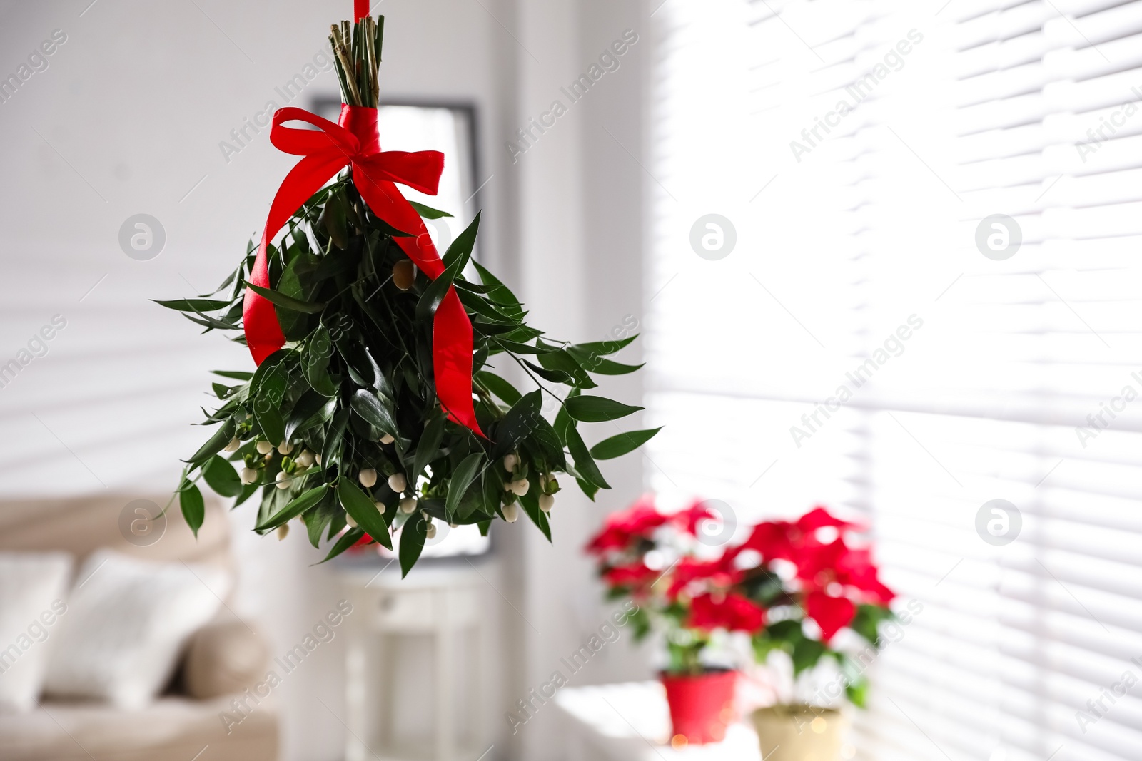 Photo of Mistletoe bunch with red bow hanging indoors, space for text. Traditional Christmas decor