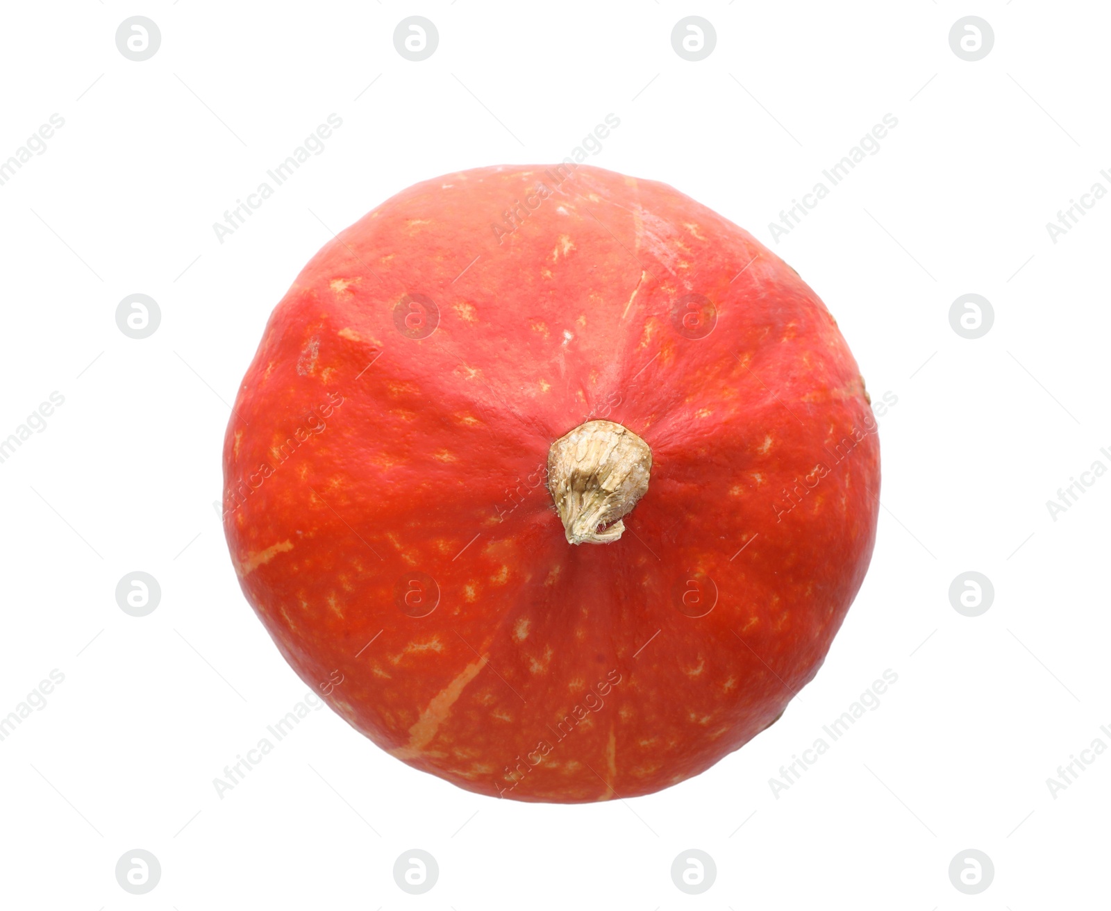 Photo of Fresh raw pumpkin isolated on white, top view. Organic plant