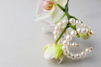 Elegant pearl earrings and orchid flowers on white background, closeup. Space for text