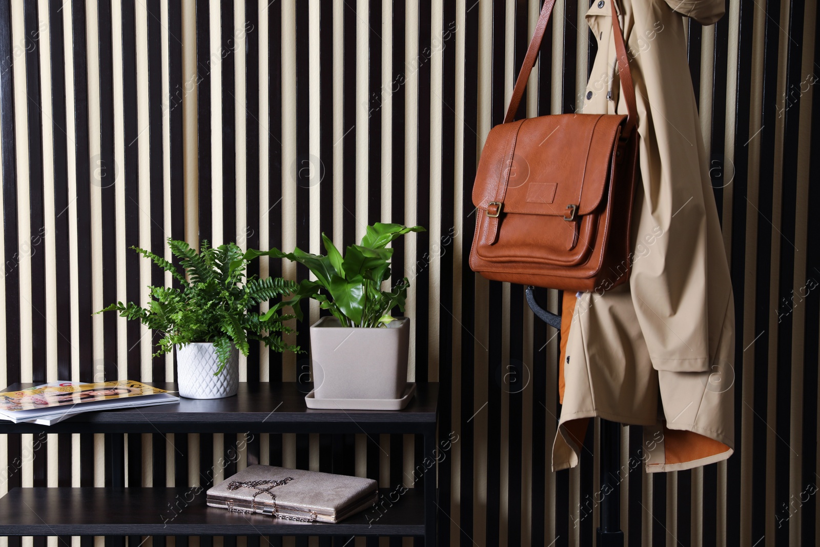 Photo of Beautiful ferns on table and clothes rack near striped wall
