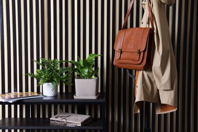 Beautiful ferns on table and clothes rack near striped wall