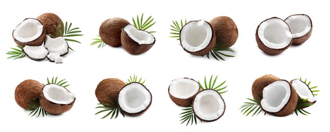 Image of Set of ripe coconuts and green leaves on white background. Banner design