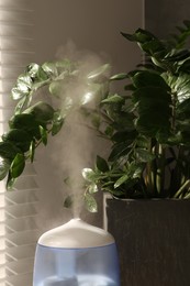 Photo of Air humidifier near beautiful green houseplant indoors