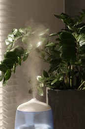 Air humidifier near beautiful green houseplant indoors